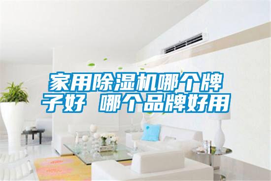 家用除濕機(jī)哪個(gè)牌子好 哪個(gè)品牌好用
