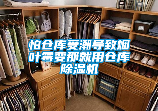 怕倉庫受潮導(dǎo)致煙葉霉變那就用倉庫除濕機(jī)