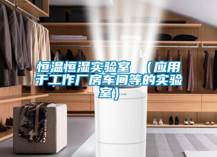 恒溫恒濕實(shí)驗(yàn)室 （應(yīng)用于工作廠房車(chē)間等的實(shí)驗(yàn)室）