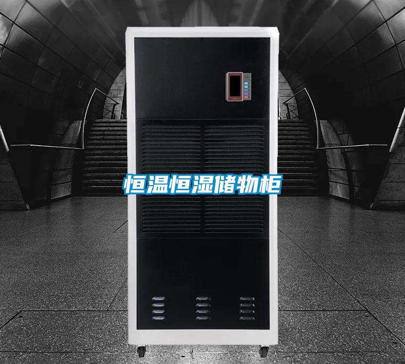 恒溫恒濕儲(chǔ)物柜