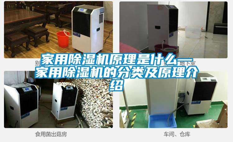 家用除濕機(jī)原理是什么—家用除濕機(jī)的分類及原理介紹