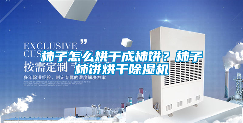 柿子怎么烘干成柿餅？柿子柿餅烘干除濕機