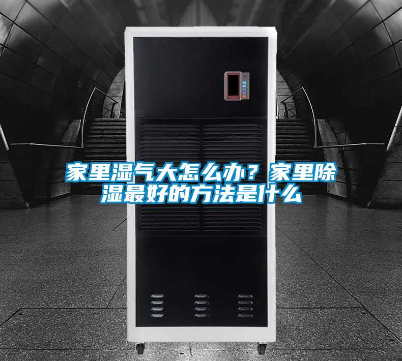 家里濕氣大怎么辦？家里除濕最好的方法是什么