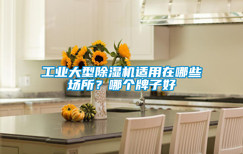 工業(yè)大型除濕機適用在哪些場所？哪個牌子好