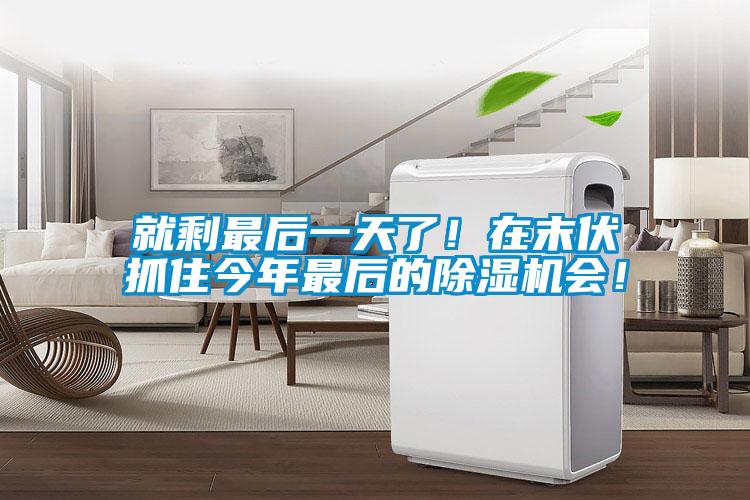 就剩最后一天了！在末伏抓住今年最后的除濕機會！