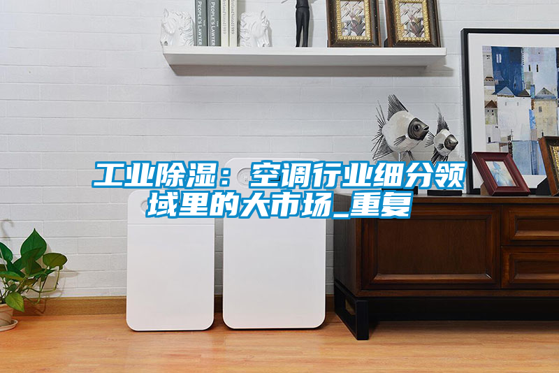 工業(yè)除濕：空調(diào)行業(yè)細(xì)分領(lǐng)域里的大市場_重復(fù)