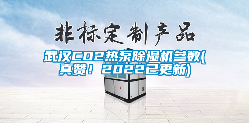 武漢CO2熱泵除濕機參數(shù)(真贊！2022已更新)