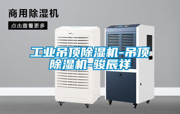 工業(yè)吊頂除濕機-吊頂除濕機-駿辰祥