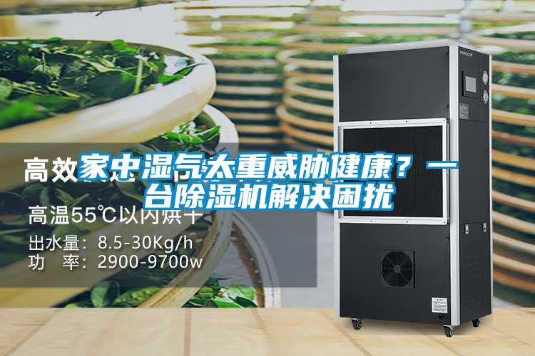 家中濕氣太重威脅健康？一臺除濕機解決困擾