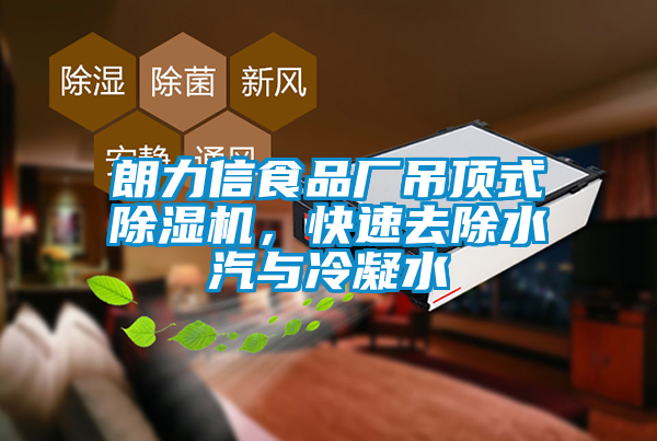 朗力信食品廠吊頂式除濕機(jī)，快速去除水汽與冷凝水