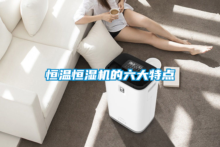 恒溫恒濕機(jī)的六大特點(diǎn)