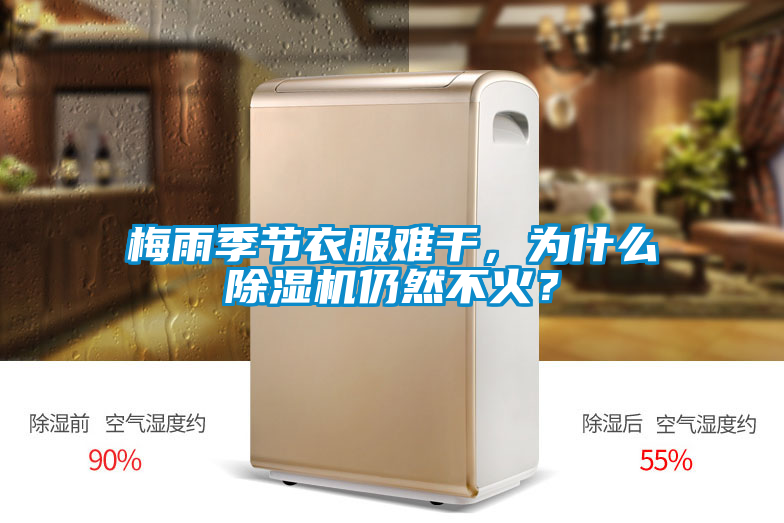梅雨季節(jié)衣服難干，為什么除濕機(jī)仍然不火？