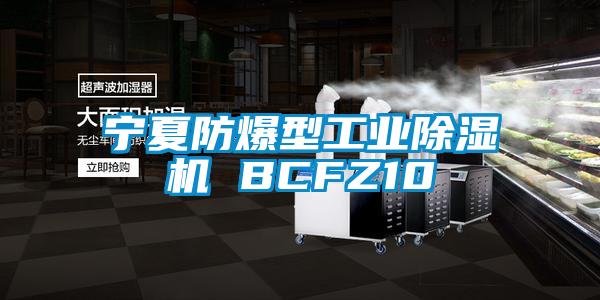 寧夏防爆型工業(yè)除濕機(jī) BCFZ10