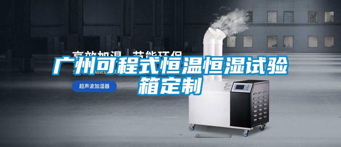 廣州可程式恒溫恒濕試驗箱定制