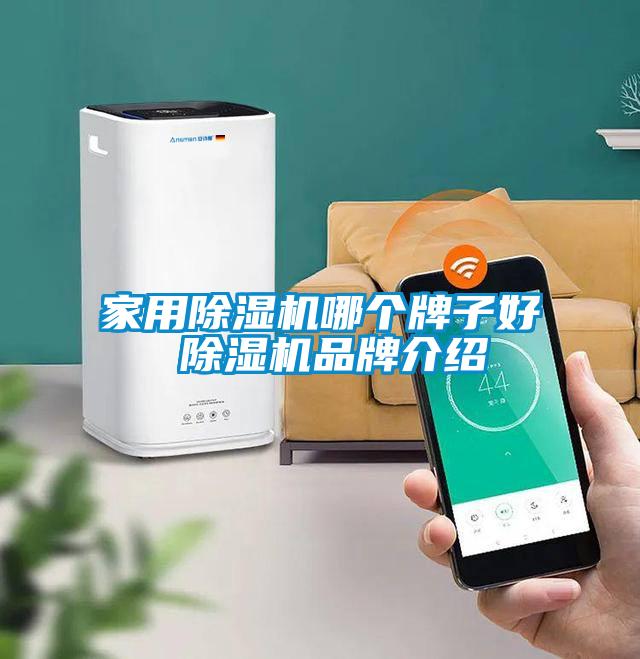 家用除濕機哪個牌子好 除濕機品牌介紹