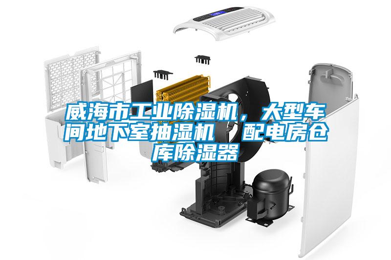 威海市工業(yè)除濕機(jī)，大型車間地下室抽濕機(jī)  配電房倉(cāng)庫(kù)除濕器