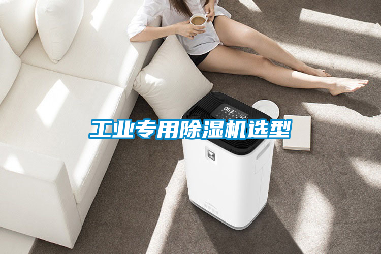 工業(yè)專用除濕機選型