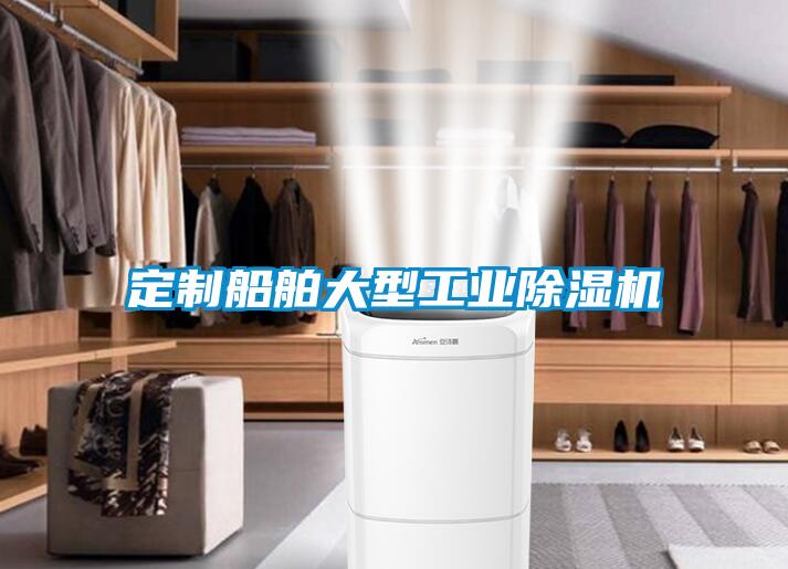 定制船舶大型工業(yè)除濕機(jī)