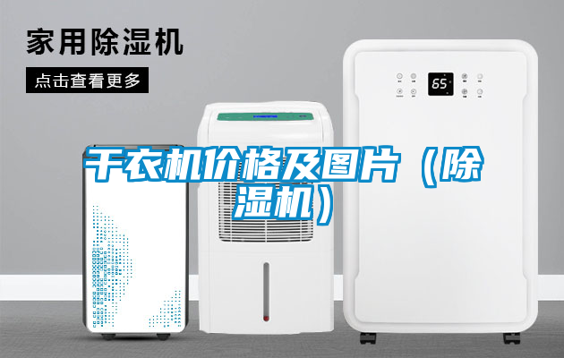 干衣機(jī)價(jià)格及圖片（除濕機(jī)）