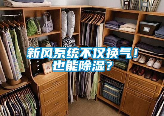 新風(fēng)系統(tǒng)不僅換氣！也能除濕？