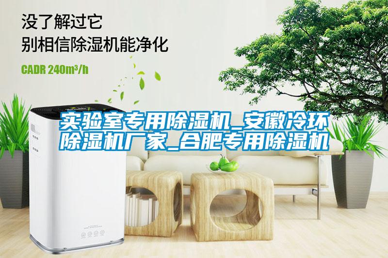 實(shí)驗(yàn)室專用除濕機(jī)_安徽冷環(huán)除濕機(jī)廠家_合肥專用除濕機(jī)