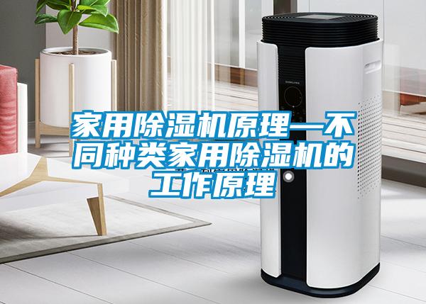 家用除濕機(jī)原理—不同種類家用除濕機(jī)的工作原理