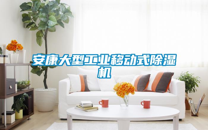 安康大型工業(yè)移動式除濕機