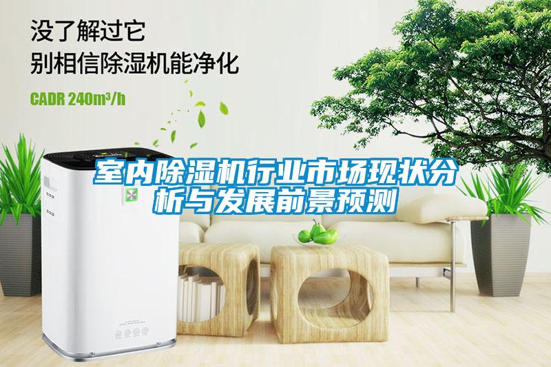 室內(nèi)除濕機(jī)行業(yè)市場現(xiàn)狀分析與發(fā)展前景預(yù)測