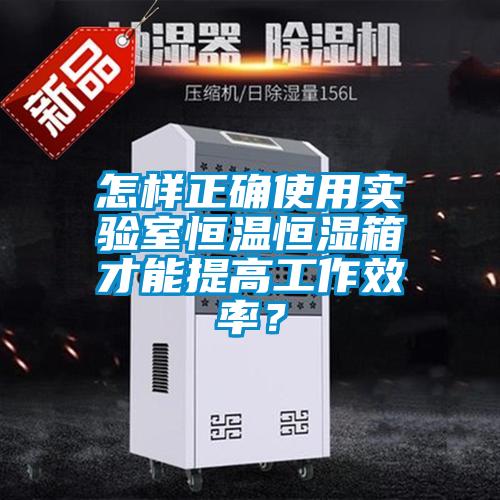 怎樣正確使用實驗室恒溫恒濕箱才能提高工作效率？