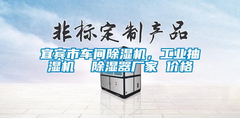 宜賓市車間除濕機(jī)，工業(yè)抽濕機(jī)  除濕器廠家 價(jià)格