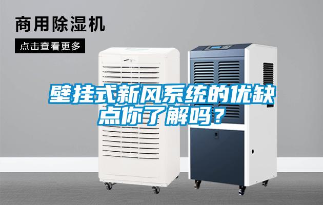 壁掛式新風(fēng)系統(tǒng)的優(yōu)缺點(diǎn)你了解嗎？