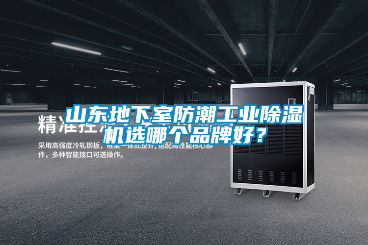 山東地下室防潮工業(yè)除濕機(jī)選哪個(gè)品牌好？