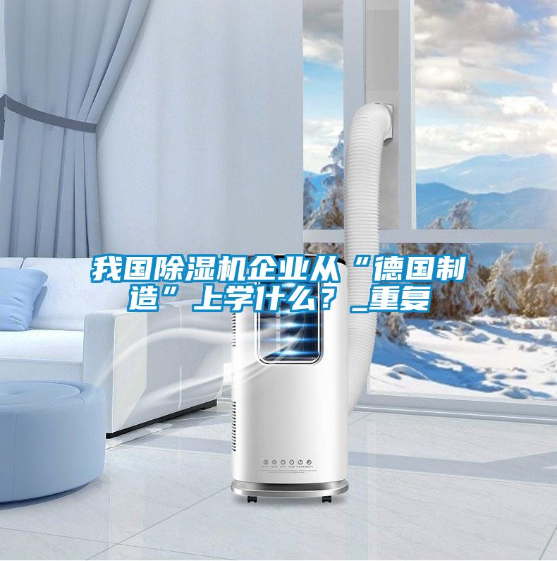 我國除濕機企業(yè)從“德國制造”上學什么？_重復