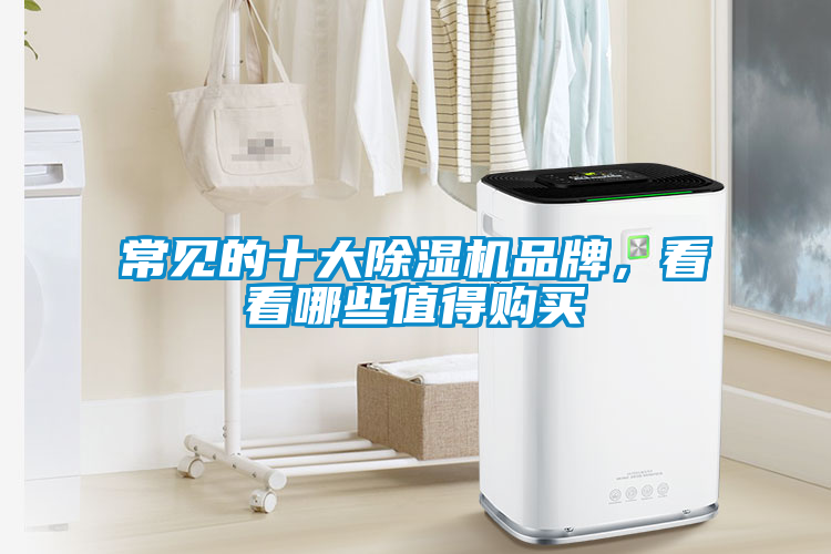 常見的十大除濕機品牌，看看哪些值得購買