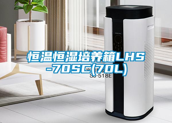 恒溫恒濕培養(yǎng)箱LHS-70SC(70L)