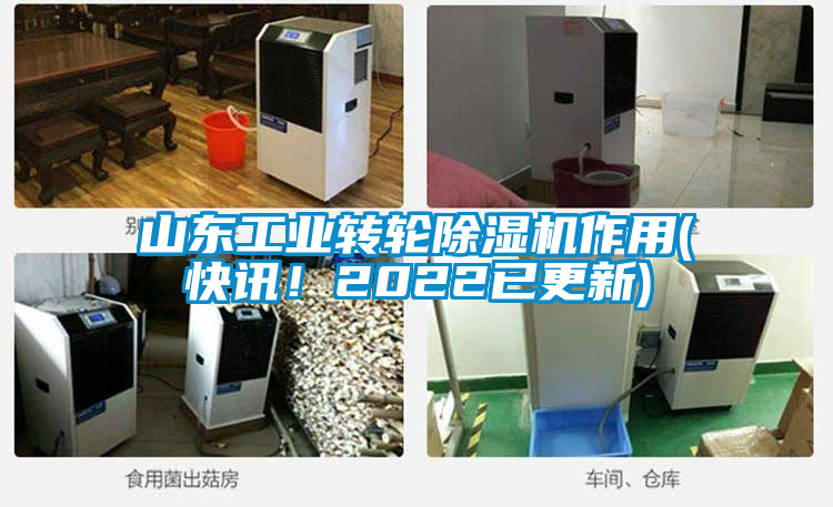 山東工業(yè)轉(zhuǎn)輪除濕機(jī)作用(快訊！2022已更新)