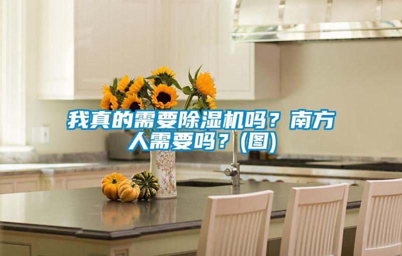 我真的需要除濕機嗎？南方人需要嗎？(圖)