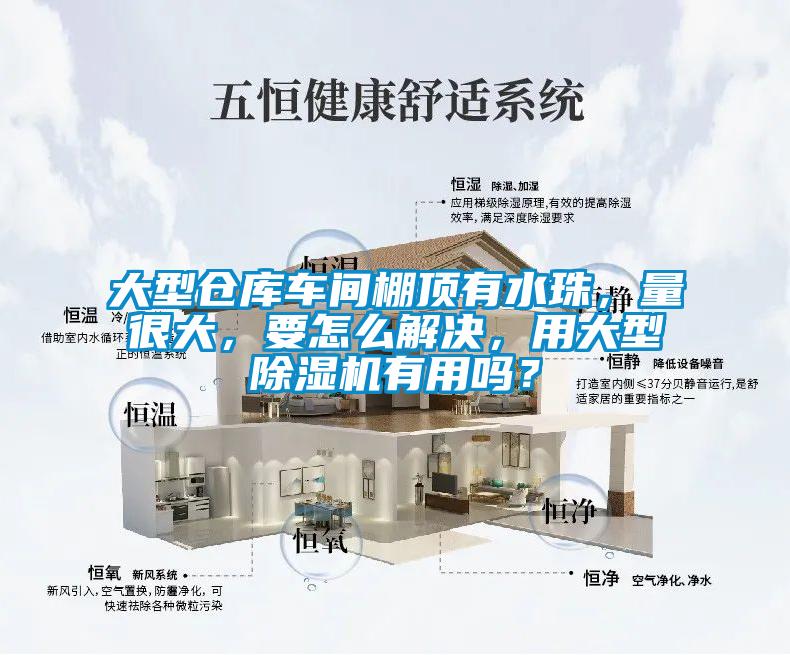大型倉(cāng)庫(kù)車(chē)間棚頂有水珠，量很大，要怎么解決，用大型除濕機(jī)有用嗎？