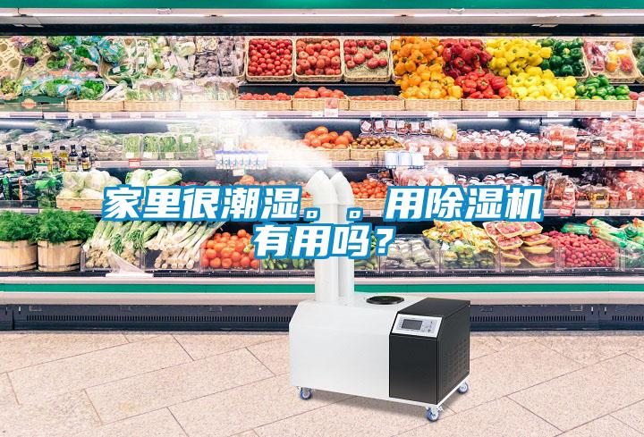 家里很潮濕。。用除濕機有用嗎？