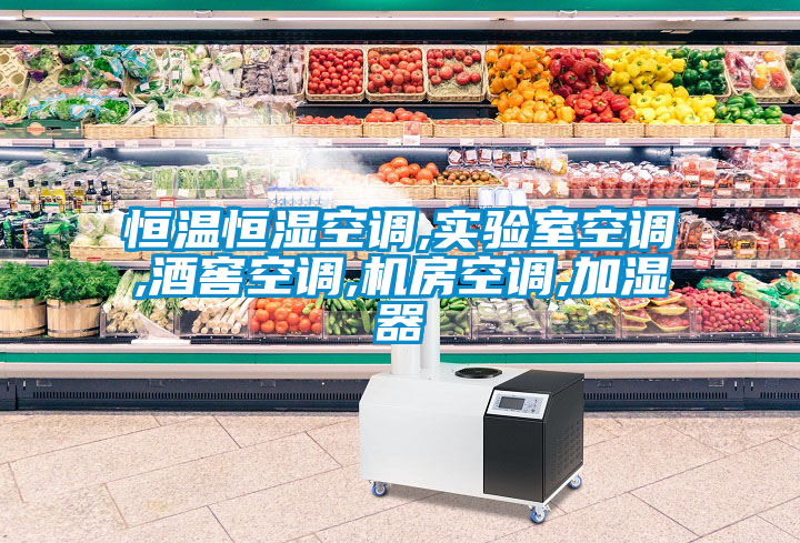 恒溫恒濕空調(diào),實(shí)驗(yàn)室空調(diào),酒窖空調(diào),機(jī)房空調(diào),加濕器