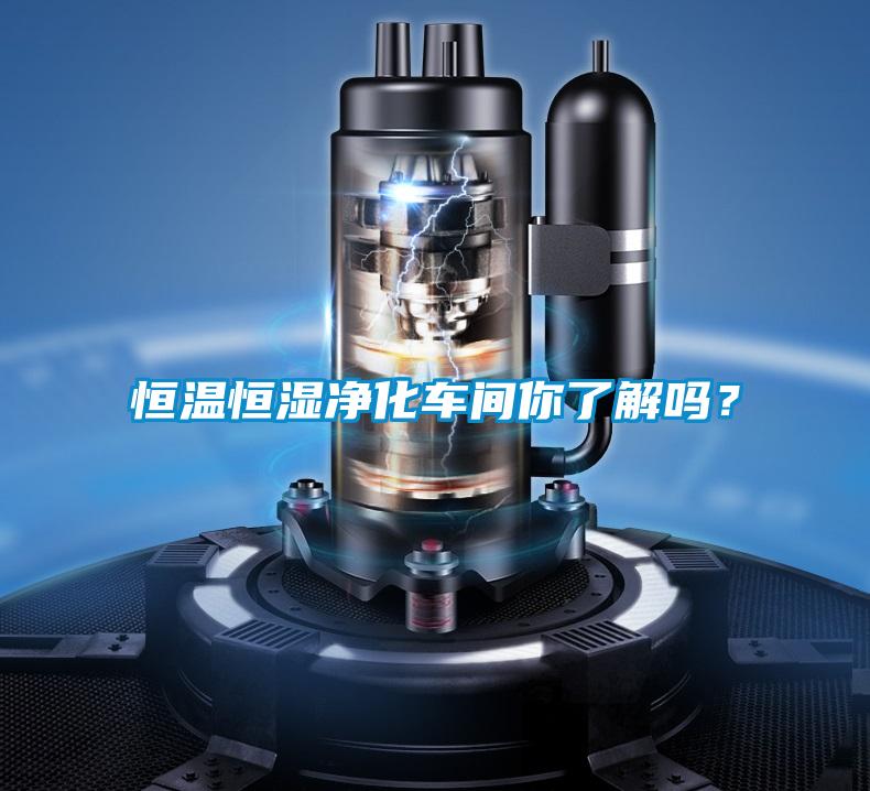 恒溫恒濕凈化車間你了解嗎？