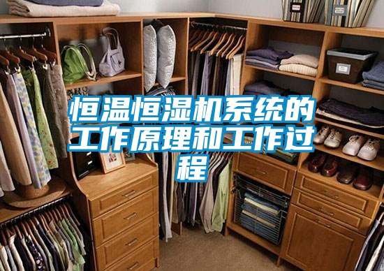恒溫恒濕機(jī)系統(tǒng)的工作原理和工作過程
