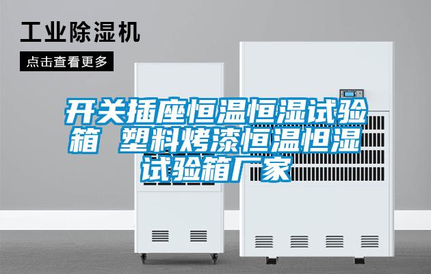 開關(guān)插座恒溫恒濕試驗箱 塑料烤漆恒溫怛濕試驗箱廠家
