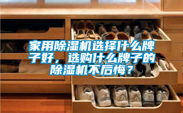 家用除濕機選擇什么牌子好，選購什么牌子的除濕機不后悔？