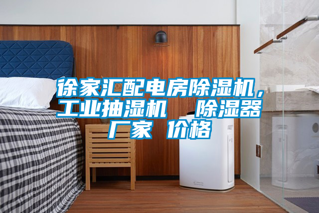 徐家匯配電房除濕機，工業(yè)抽濕機  除濕器廠家 價格