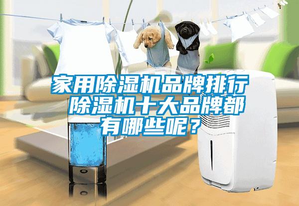 家用除濕機品牌排行 除濕機十大品牌都有哪些呢？