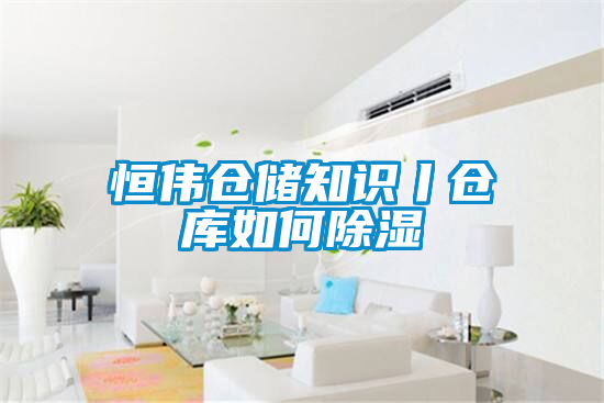 恒偉倉儲(chǔ)知識(shí)丨倉庫如何除濕