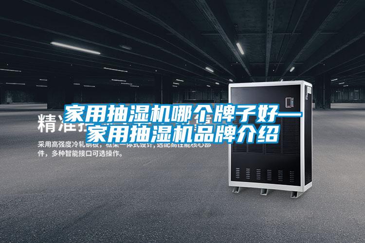 家用抽濕機(jī)哪個(gè)牌子好—家用抽濕機(jī)品牌介紹