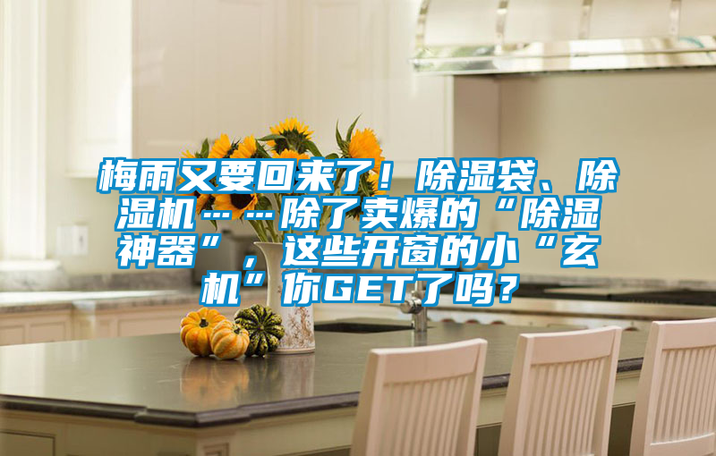 梅雨又要回來了！除濕袋、除濕機……除了賣爆的“除濕神器”，這些開窗的小“玄機”你GET了嗎？