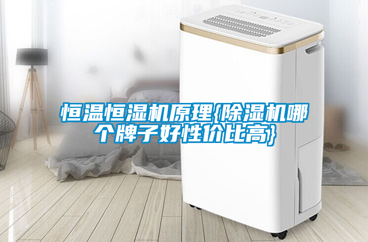 恒溫恒濕機(jī)原理{除濕機(jī)哪個(gè)牌子好性價(jià)比高}